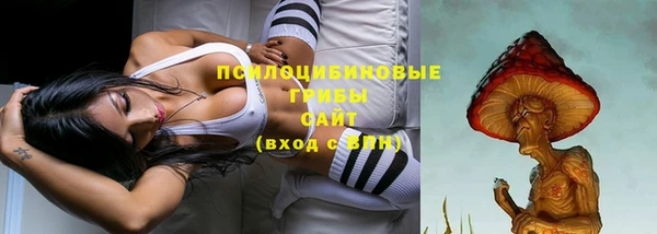 спайс Магас